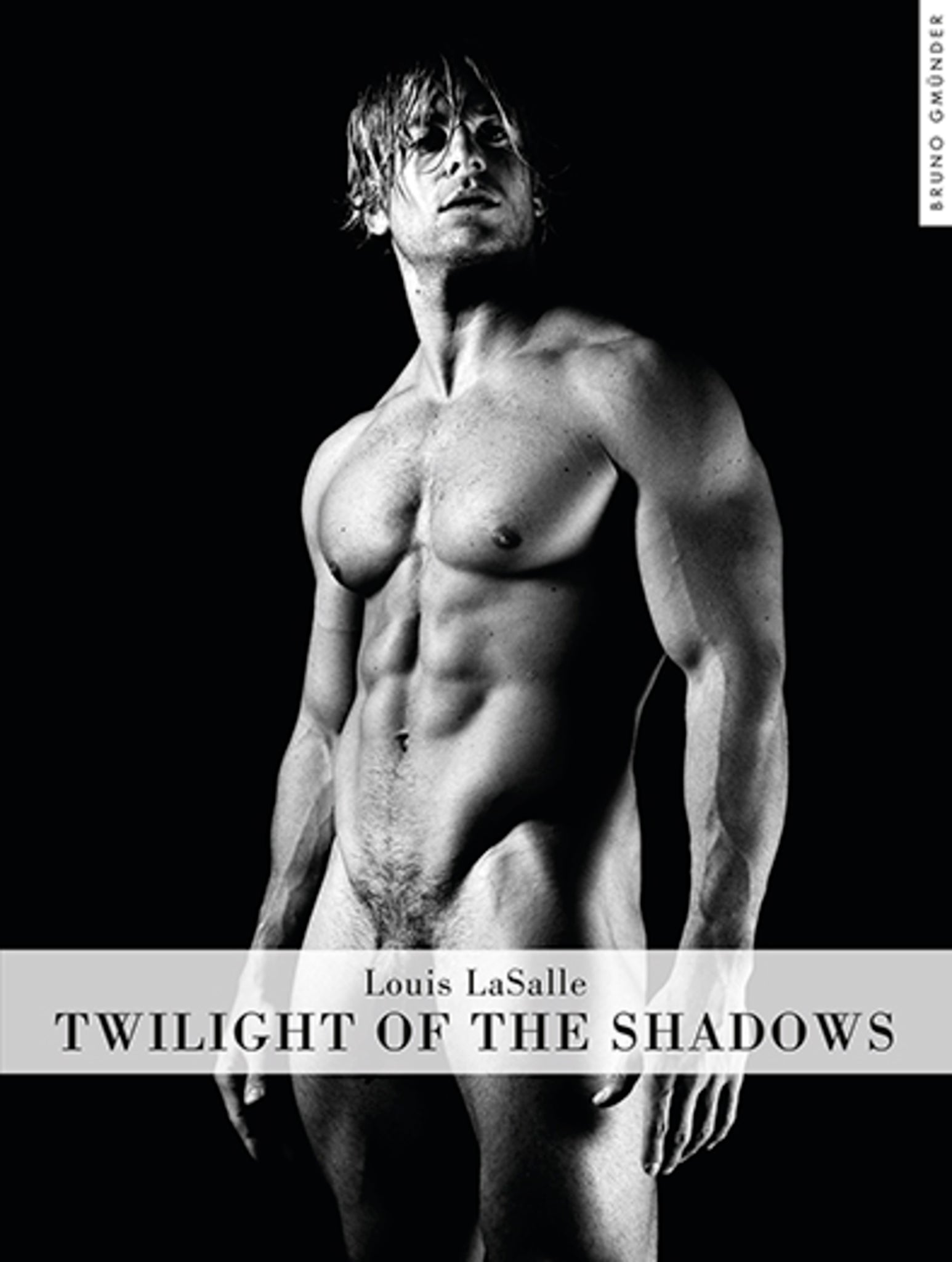 Twilight of the Shadows